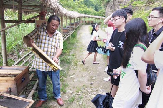 ”善行景宁乡，共圆畲汉梦“91制片厂
景宁梦之队-实地调研当地养蜂业